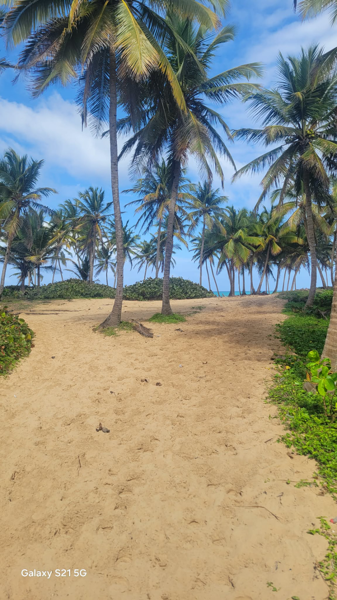 Sandy palm-lined path leading to the turquoise Caribbean sea