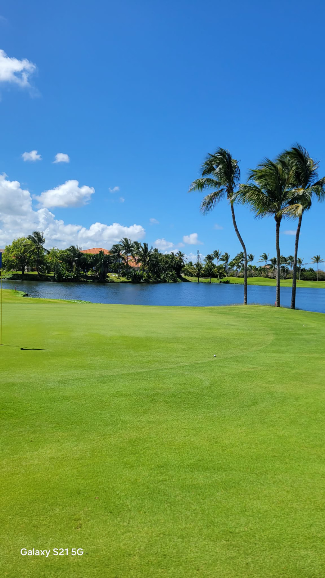 Golf course green beside a blue lagoon framed by palm trees