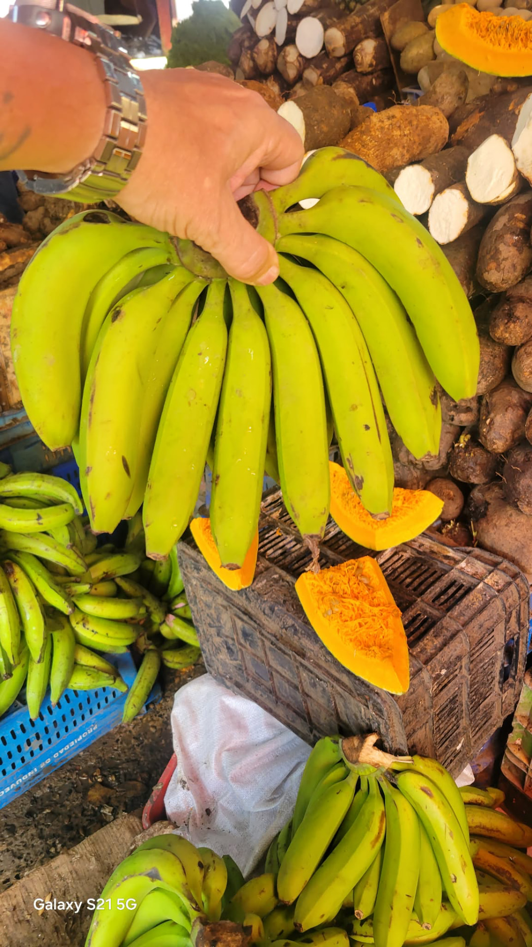 Fresh plantains, yuca and pumpkin at a local Dominican market